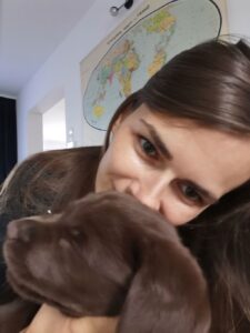 Labrador Retriever Copernicus Stars FCI