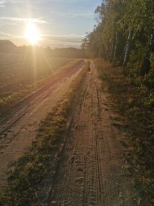 Labrador Retriever Copernicus Stars FCI